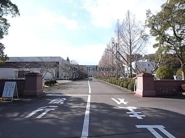 私立岐阜女子大学(大学/短大/専門学校)まで725m ラセールミスⅡ