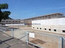 岐阜市立岩野田北小学校(小学校)まで505m クレストールＫＩＫＩ　Ｂ