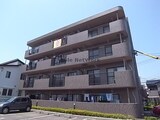 マロンシャンテ