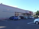 ファッションセンターしまむら長良店(ショッピングセンター/アウトレットモール)まで1062m コーポエイト