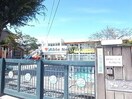 ながら幼稚園(幼稚園/保育園)まで530m コーポエイト