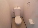 参照写真 ステージⅠ