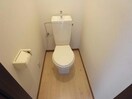 参照写真 ステージⅡ