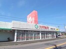 スギ薬局三田洞店(ドラッグストア)まで748m 原尾ビル