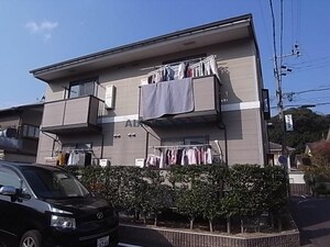 ビィー・ウィステリア