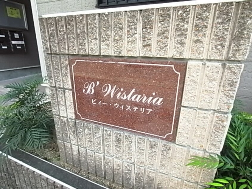  ビィー・ウィステリア