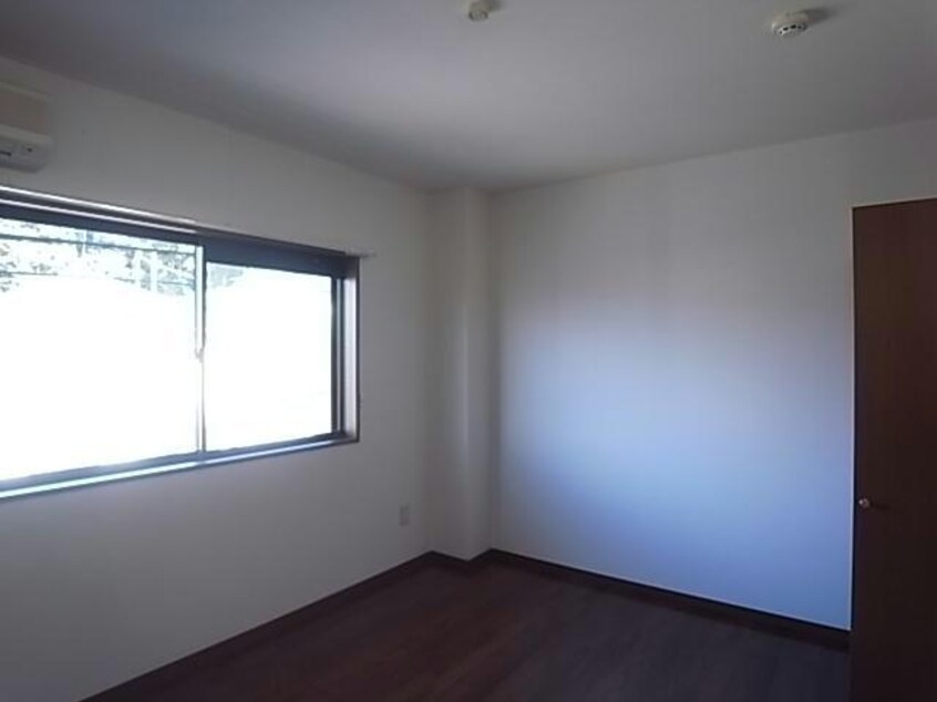 参照写真 ビィー・ウィステリア