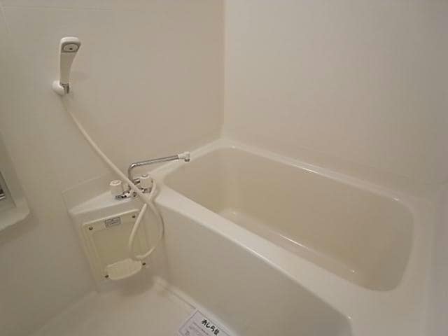 参照写真 ビィー・ウィステリア