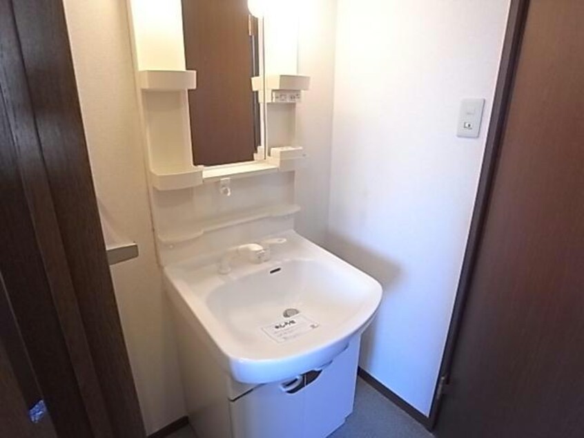 参照写真 ビィー・ウィステリア