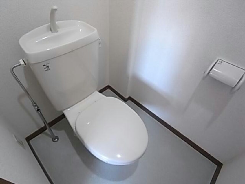 参照写真 ビィー・ウィステリア