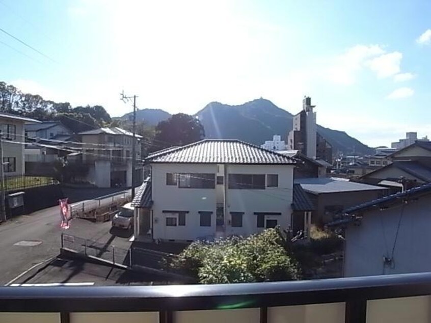 参照写真 ビィー・ウィステリア