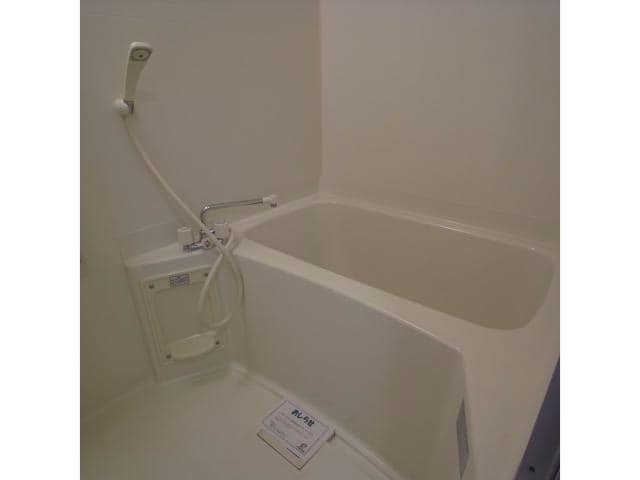 参照写真 ビィー・ウィステリア