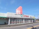 スギ薬局三田洞店(ドラッグストア)まで772m ピュアハイツハヤシ　Ｂ