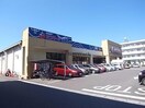 サンマート八代店 サンライズ大野