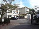 岐阜市立常磐小学校(小学校)まで1504m 福光西ビル