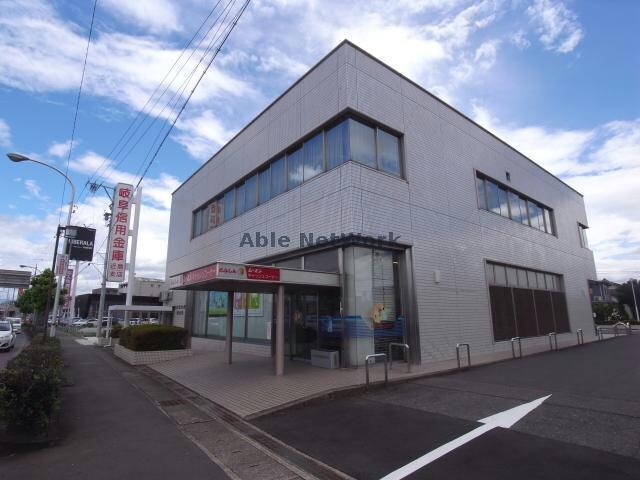 岐阜信用金庫近島支店(銀行)まで262m アミューズ　コート