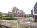 国立大学法人岐阜大学医学部附属病院(病院)まで2545m Ｄ－ＲｏｏｍＭ’ｓ