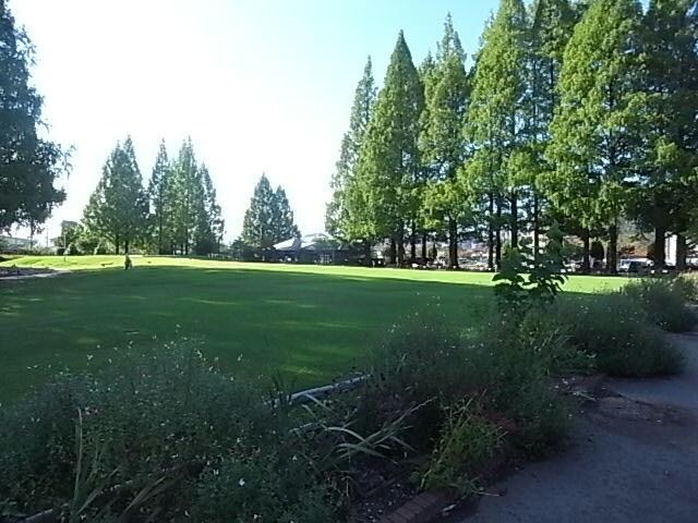 長良公園(公園)まで2748m 岩崎村山様貸家