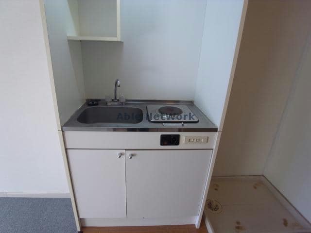 参照写真 いずみⅡ