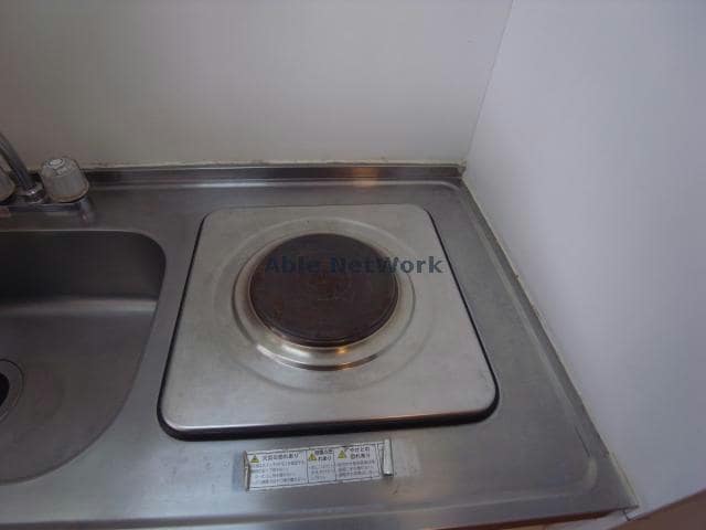 参照写真 いずみⅡ