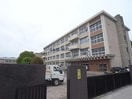 岐阜市立三輪中学校(中学校/中等教育学校)まで1279m いずみⅡ