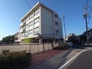 岐阜市立則武小学校(小学校)まで378m エスパレオ・Ｍ