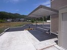  ウィステリア粟野