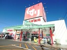 スギ薬局島店(ドラッグストア)まで621m ジ・ラソーレ