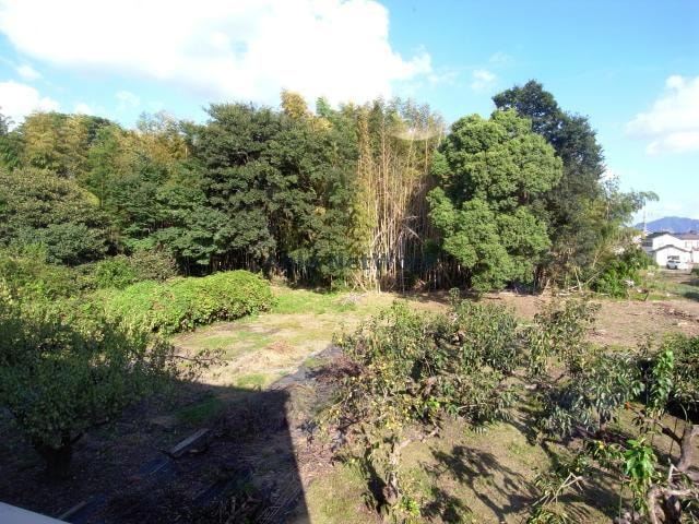  Green　Stream　黒野