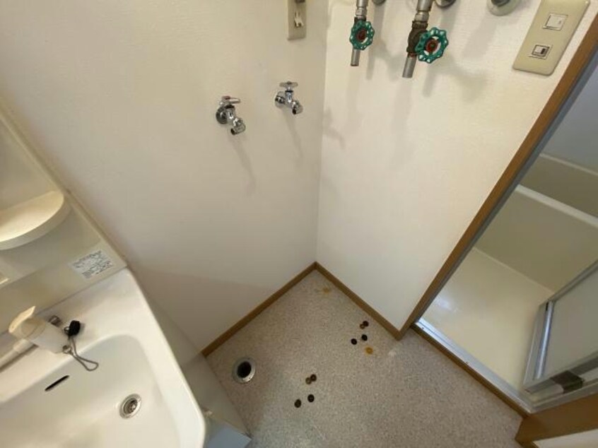  リトルパレット