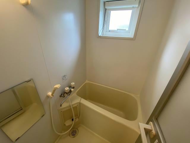  リトルパレット