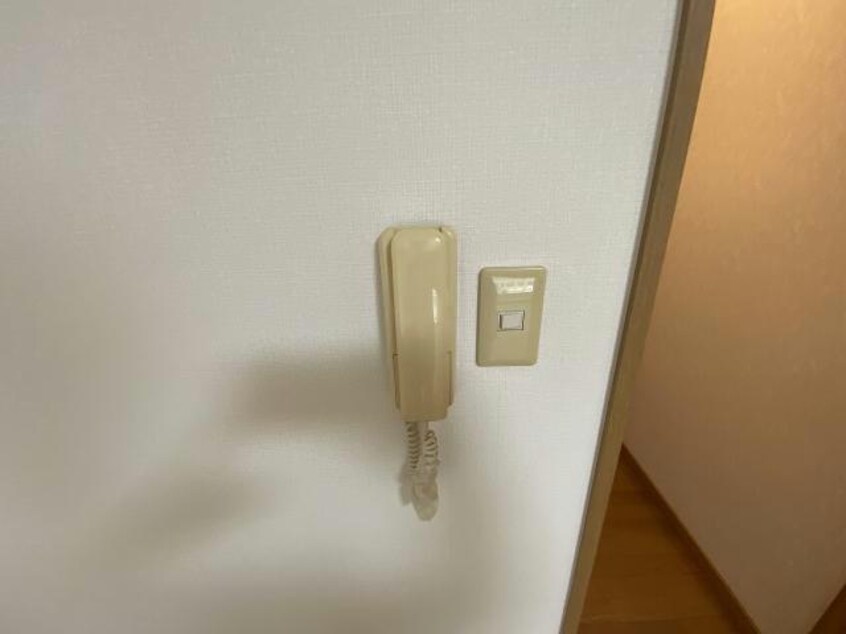  リトルパレット