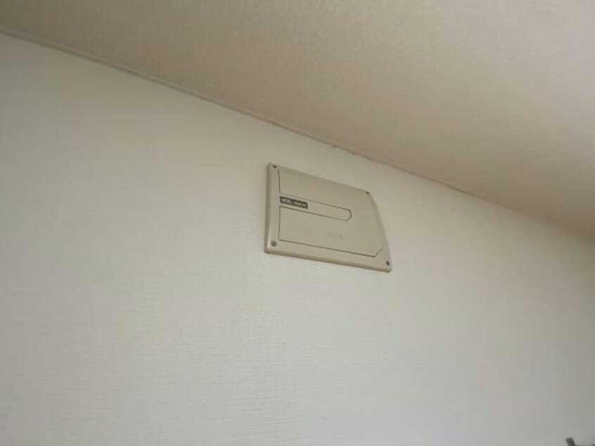  リトルパレット