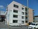 リコケット