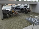  ブルーミィ五稜郭