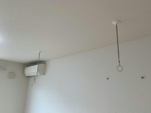  カーサプラシード