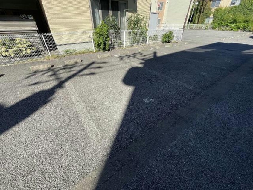  クラスターラティア