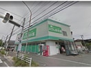 生鮮げんき市場日吉店(スーパー)まで973m フトゥーラ日吉