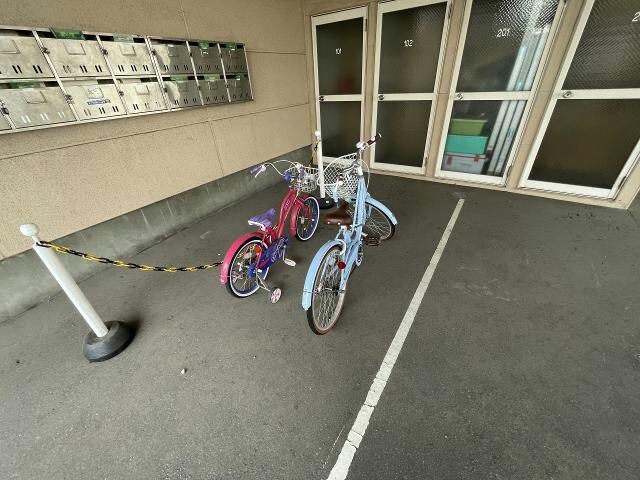  プラザ・クリプトメリア