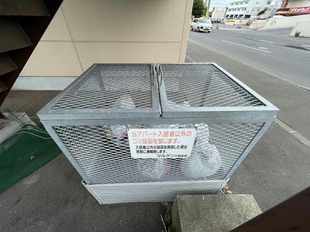  プラザ・クリプトメリア