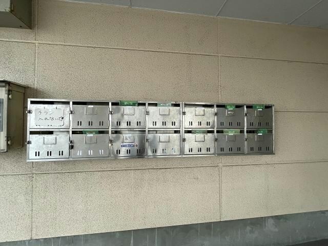  プラザ・クリプトメリア