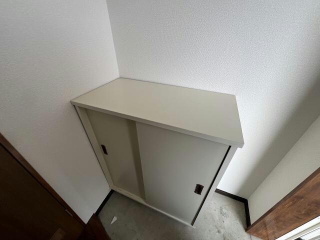  プラザ・クリプトメリア