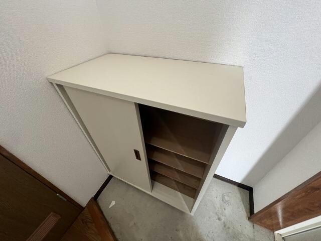  プラザ・クリプトメリア