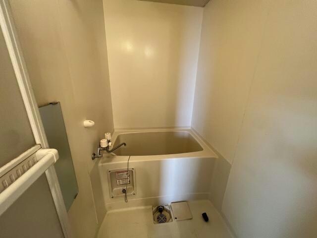  プラザ・クリプトメリア