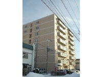 プロシード五稜郭