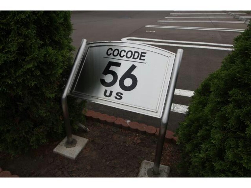  COCODE56