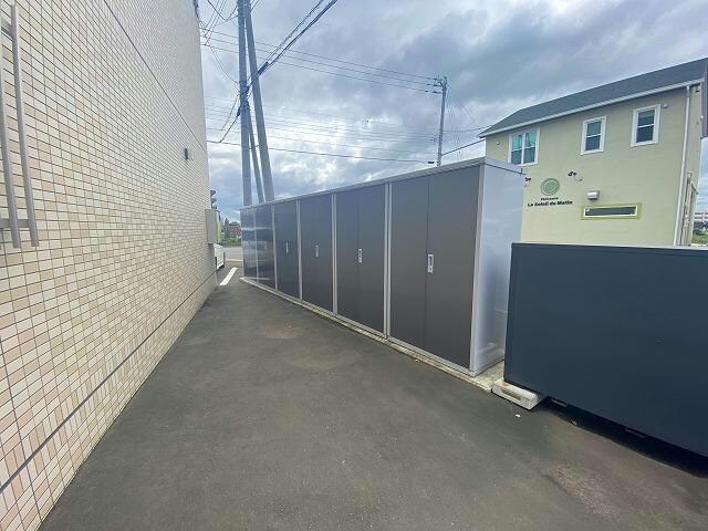  フィフティワンVol.Ⅱ