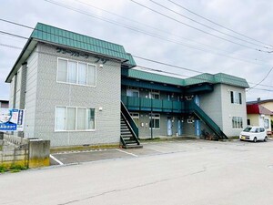 グリーンカーサフジ