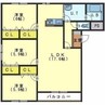 ウィンザーコート駒場 3LDKの間取り