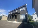 Sunny Garden